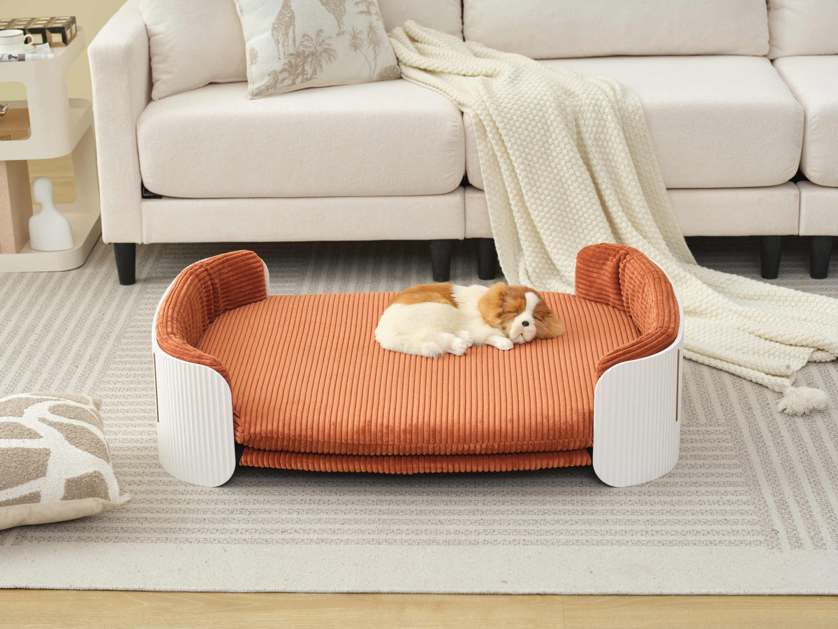 Scandinavian style Cat Couch Bed, Pet Sofa for Indoor Cats PP Indoor Pet Furniture Elevated Cat Beds with Removable Mattress Cover Suitable for Mid or Large Animal Brand Design White+Brown