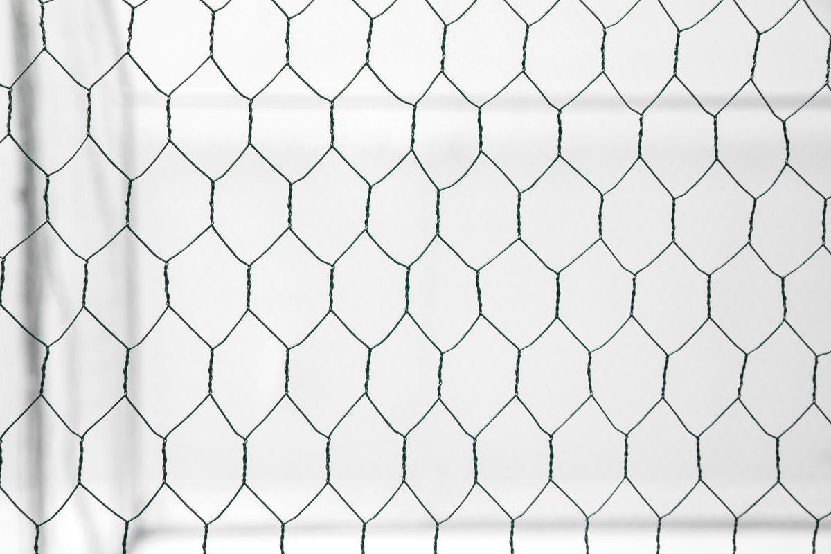XPT035 Outdoor chicken coop metal big space 20*10*6FT 3 Unit for Outdoor Farm Use