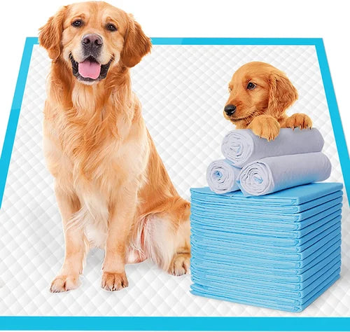 Disposable Puppy Pee Pads 22" x 22", Premium Disposable Training Pads, Pee Pads, Training Pads, Quick Absorb and Odor Control