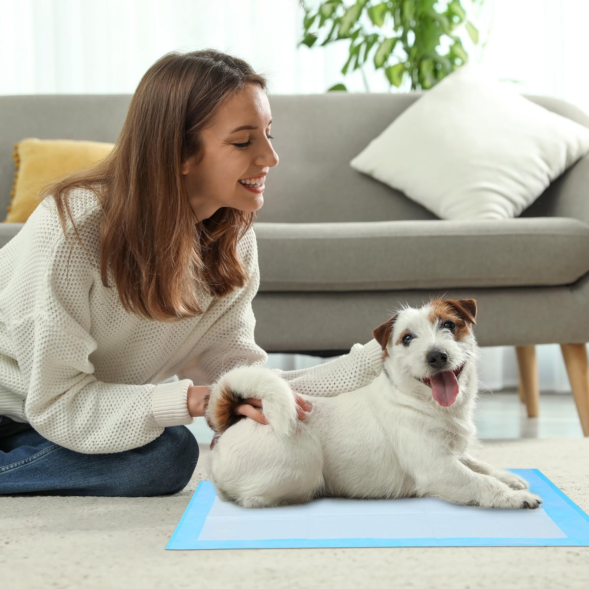 Disposable Puppy Pee Pads 22" x 22", Premium Disposable Training Pads, Pee Pads, Training Pads, Quick Absorb and Odor Control