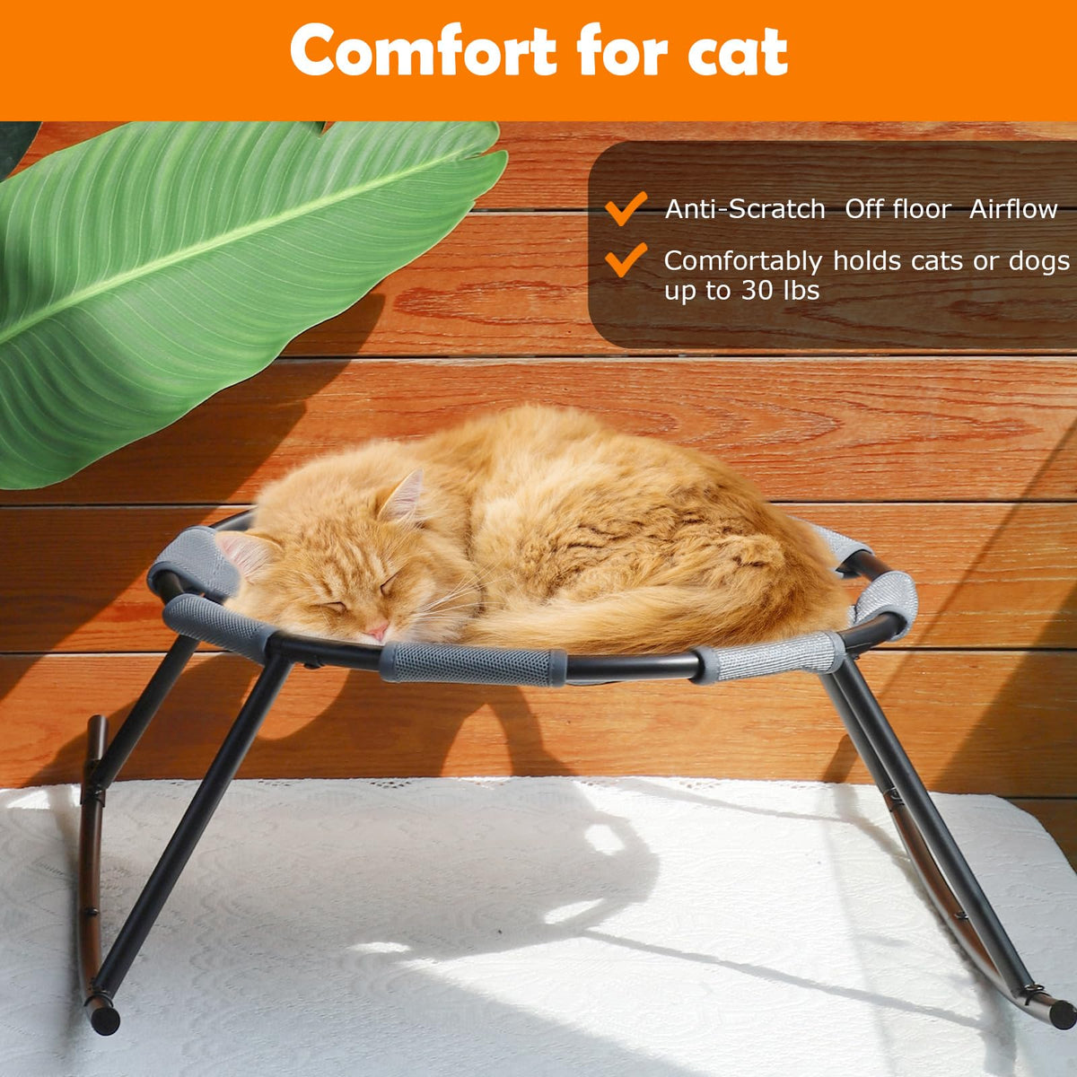 Elevated Dog Bed for Small Dogs with Washable Breathable Mesh and Removable Steel Frame Raised Cooling Pet Cot